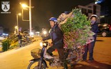 Chợ hoa Quảng Bá sôi động trước ngày Quốc tế Phụ nữ 8-3